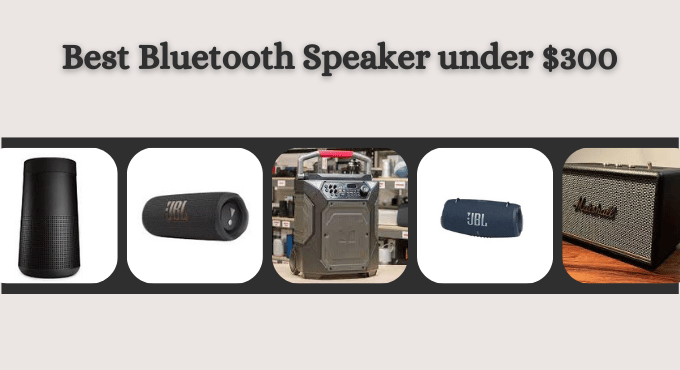 4 Best Bluetooth Speaker under $300